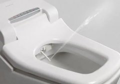 华宇代理安装智能坐便器双节送好