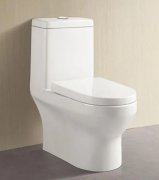 华宇三性能考验坐便器优劣