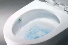 <b>华宇小小过滤网致马桶漏水 消费者获赔5000元</b>