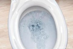 <b>华宇代理夏日马桶随时上盖 以免细菌滋生</b>