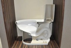 <b>华宇平台坐便器的主要款式有哪些?</b>